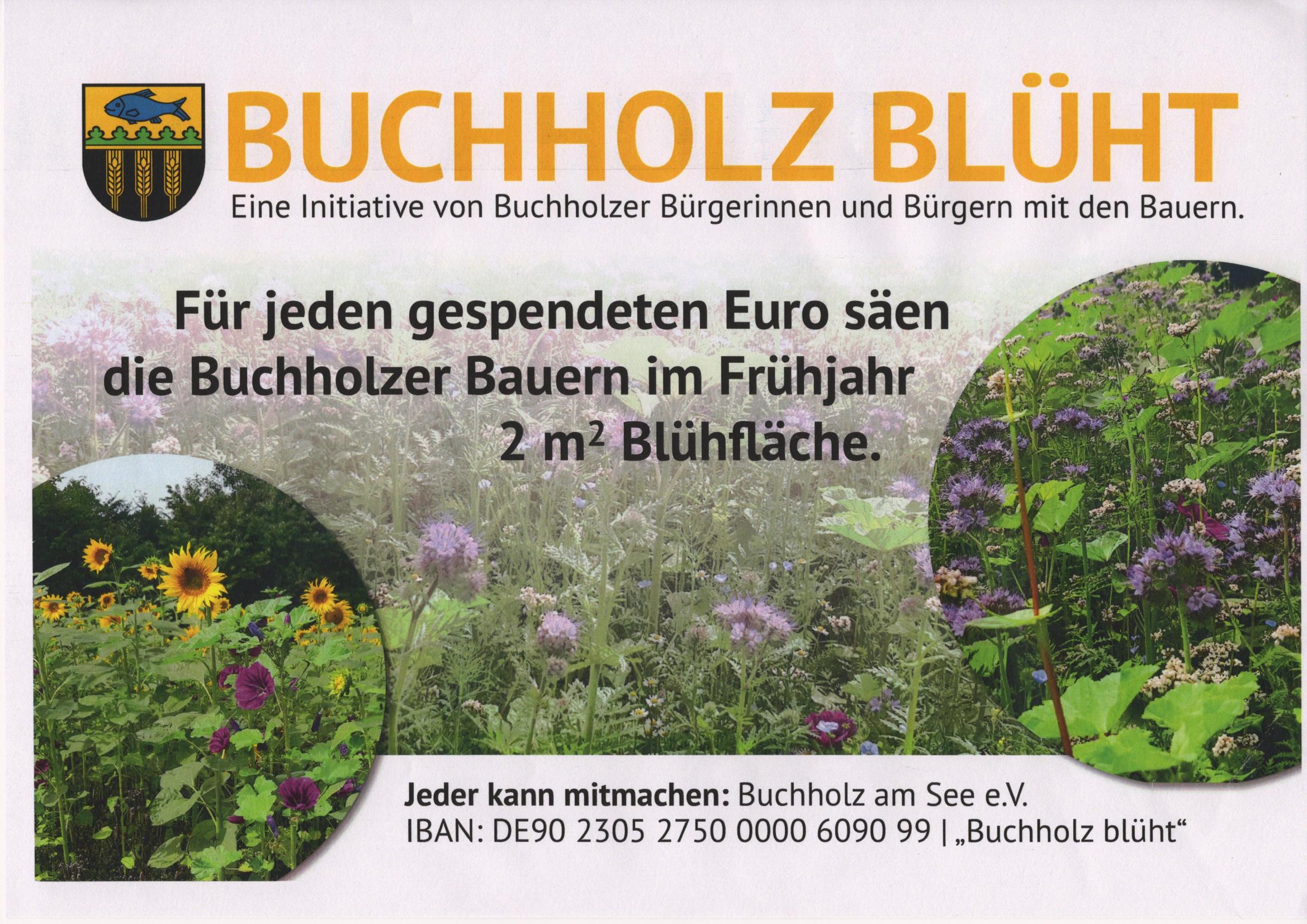 Buchholz Blüht